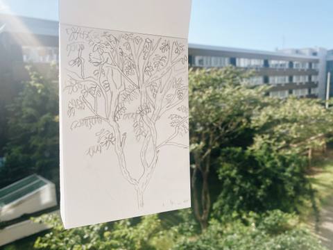 Pencil sketch of a tree held up against the real view