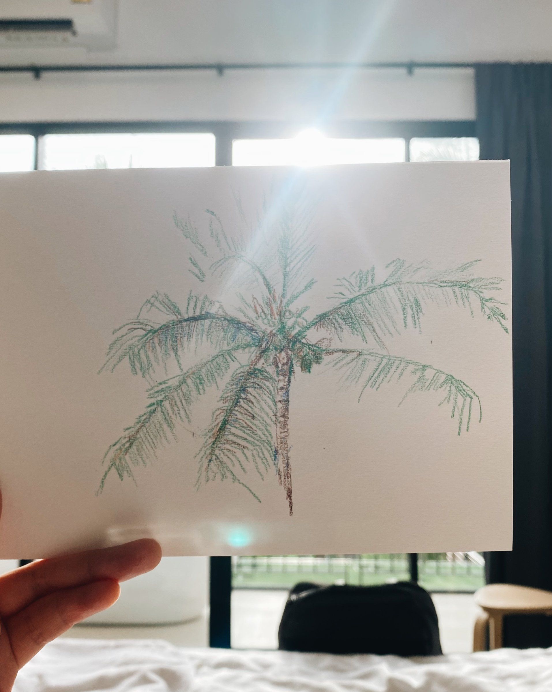 Colored pencil drawing of a palm tree on a postcard